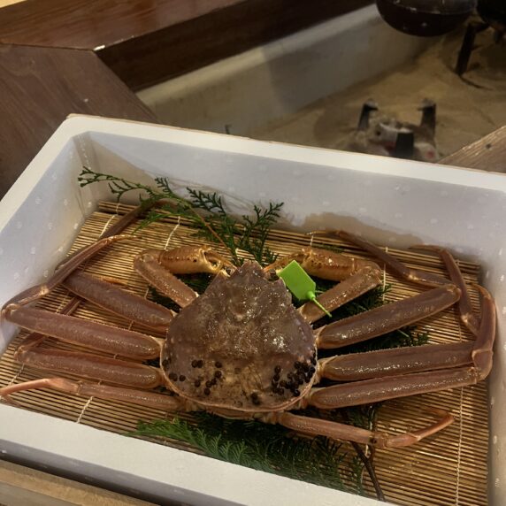 活松葉蟹解禁~ご提供開始しております~